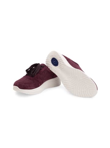 VITAFORM Samtziegenleder Sneaker in aubergine