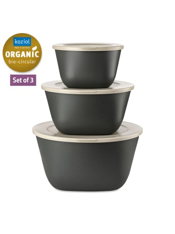 koziol CONNECT BOX SET STOCKHOLM - Box mit Deckel 1l + 2l + 4l in nature ash grey