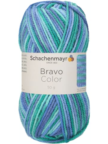 Schachenmayr since 1822 Handstrickgarne Bravo Color, 50g in Lagune