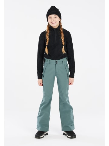 Protest " RELOLE JR in Evergreen