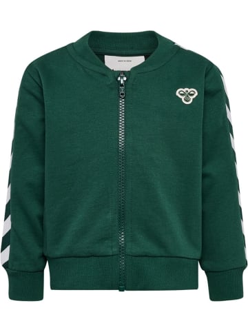 Hummel Kinder Trainingsanzug "Mini Reg Chevron Set" in Grün