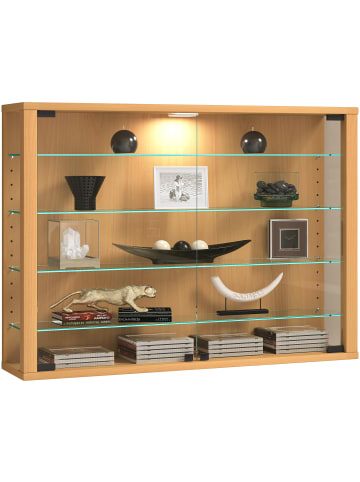 VCM  Wandvitrine Glasvitrine Vitrosa L in Buche