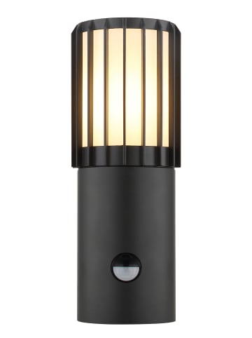 Globo lighting Außenleuchte "MERVIN" in anthracite