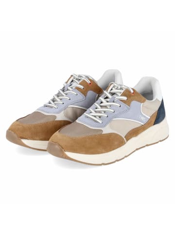 Low Sneaker in braun