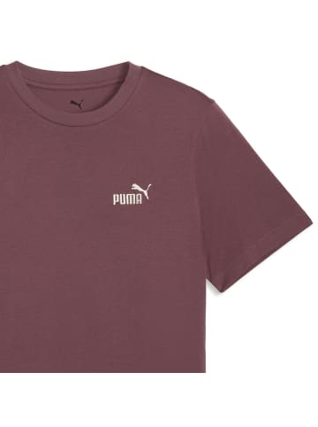 Puma T-Shirt 1er Pack in Rotbraun (Rich Cocoa)