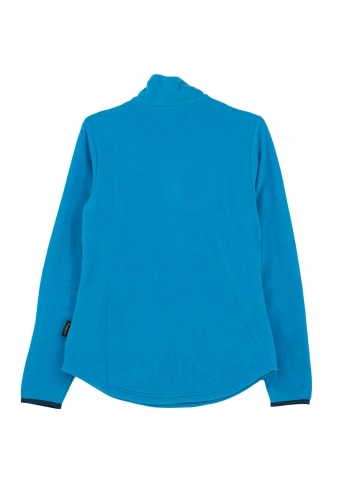 Jack Wolfskin Pullover Echo Fleece Sweater in Blau