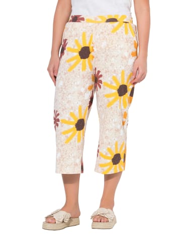 Ulla Popken Culotte in honiggelb