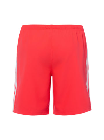 adidas Performance Badeshorts in rot