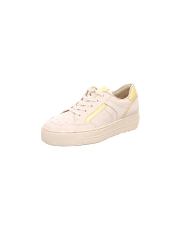 Paul Green Sneaker für Damen in creme
