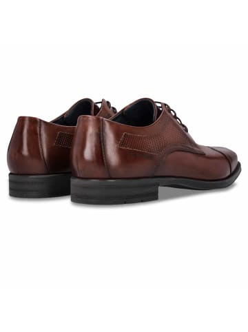 SALAMANDER Schnürschuh in braun