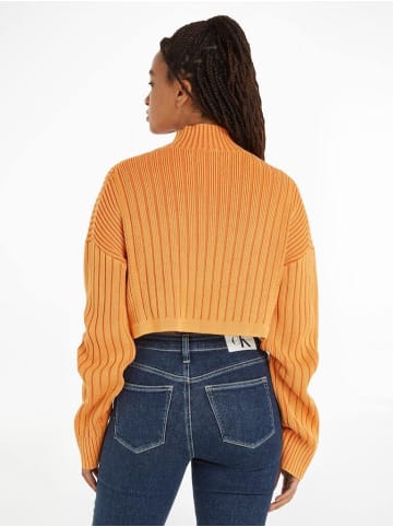 CALVIN KLEIN JEANS Sweatshirt in burnt clay