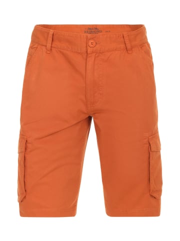 Redmond Shorts in Braun
