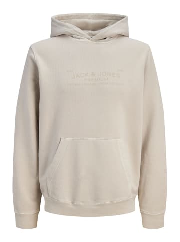 Jack & Jones Kapuzenpullover in Moonstruck