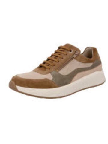 Solidus Schnürschuhe Ken - Weite K in Braun