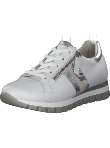 Gabor Sneakers Low in Weiss/Silber/Creme