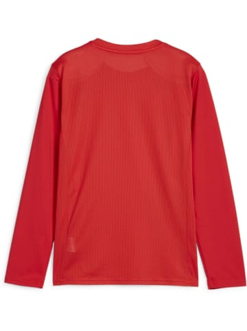Puma Sportshirt "TeamGoal Longsleeve Jersey Jr" in Rot