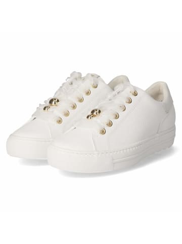 Paul Green Schnürhalbschuh in white