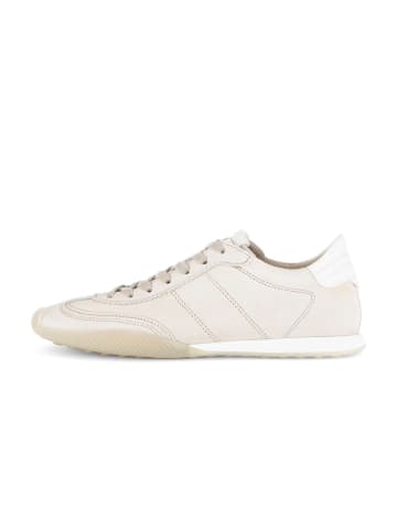 Gabor Sneaker low in beige