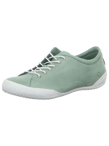 Andrea Conti Schnürschuhe in grün