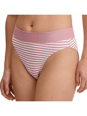 Calida Slip 1er Pack in Rosa