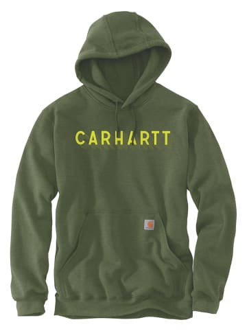 CARHARTT  Graphic Kapuzensweatshirt in grün