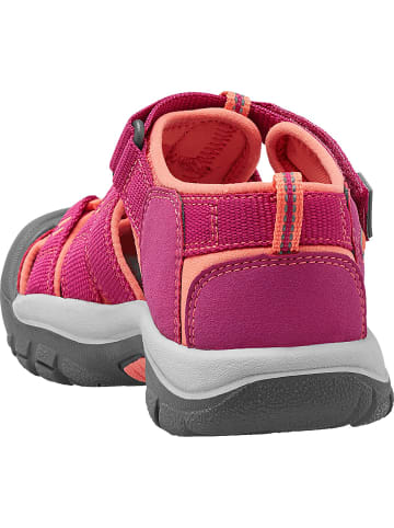 Keen NEWPORT H2 in Beere