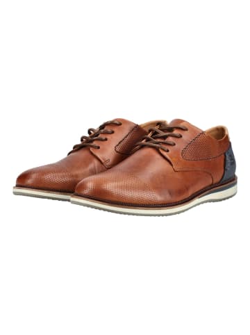 Bullboxer Businessschuhe in Cognac
