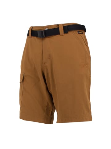 Jack Wolfskin Hose Hoggar Shorts in Braun