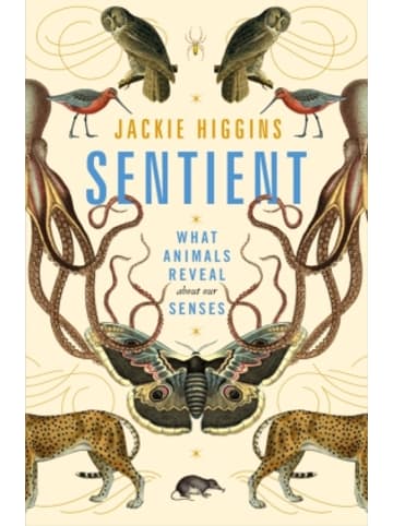 Macmillan US Buch - Sentient