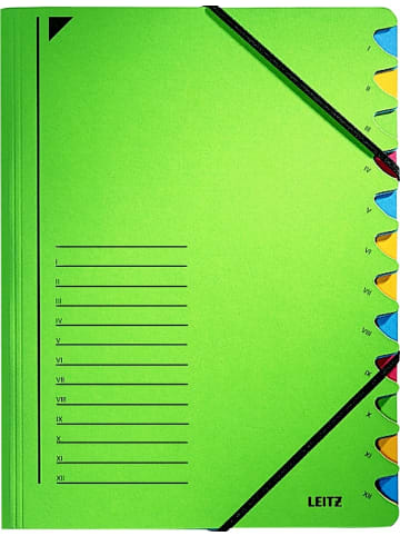 Leitz Ordnungsmappe A4 12 Fächer Colorspankarton grün