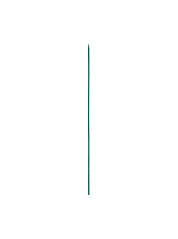 100 x Pflanzstäbe in Dunkelgrün - (H)30 x (D)0,5 cm