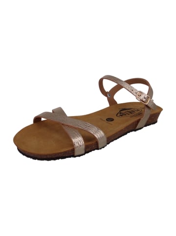 Plakton Sandalen goldfarben