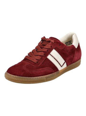 Paul Green Sneaker in Rot/Weiß