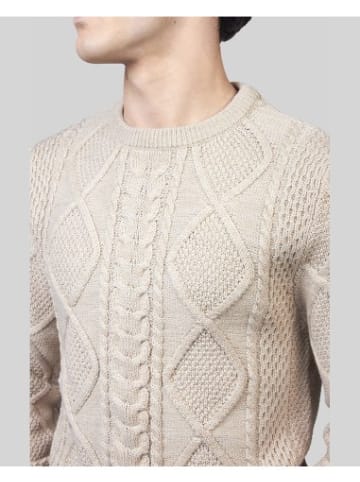 Jack & Jones Pullover in Beige