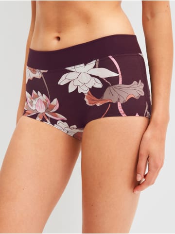 Calida Panty in black cherry
