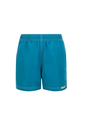 wavebreaker Shorts in hellblau