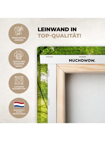 MuchoWow Poster mit Leiste Waldlicht  (BxH)