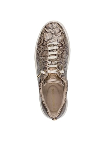 Marco Tozzi Sneaker in DUNE STRUCTURE