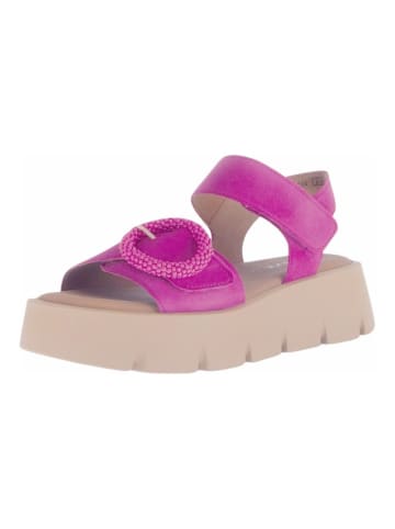 Gabor Sandalen in Pink