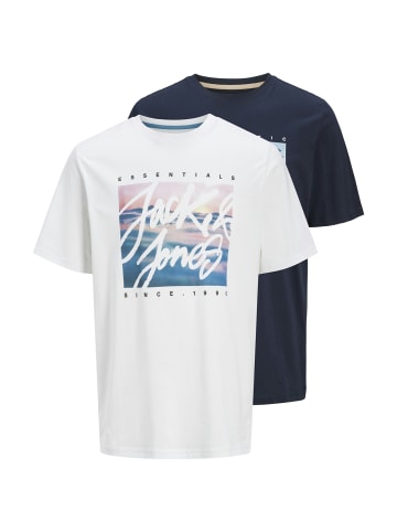 Jack & Jones T-Shirt 'Colton' 2er Pack in blau