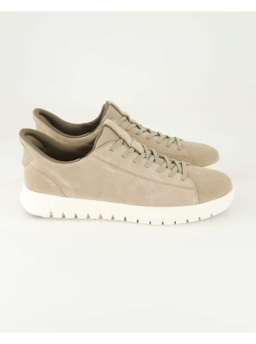 Geox Slip On Sneaker in Beige