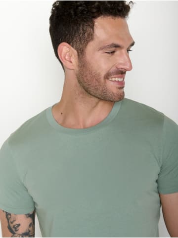 GreenBomb Guide Basic in Soft Sage