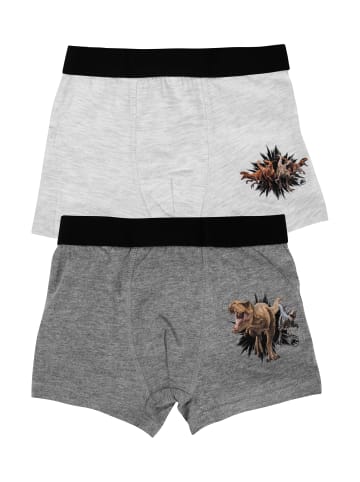 Jurassic World 2er Pack Jurassic World Boxershorts - Unterwäsche Unterhose Boxer in grau