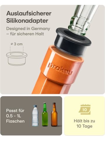 Praknu Tonkegel Bewässerung 6er Set mit Adapter für 0,5-1L PET-Flaschen