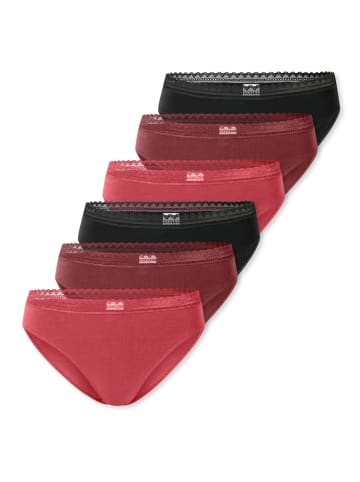 Schiesser Rio Slip 95/5 Modern Cotton in Schwarz / rot