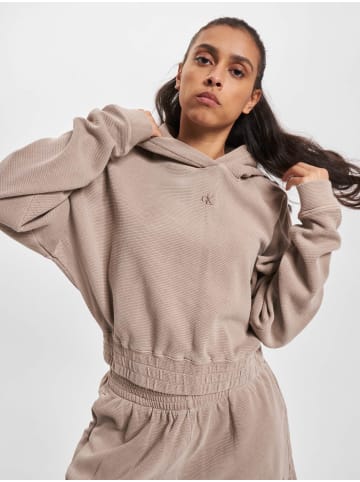 Calvin Klein Calvin Klein Kapuzenpullover in shitake