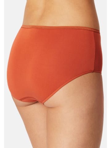 Schiesser Midi Slip Modal Essentials in Mehrfarbig