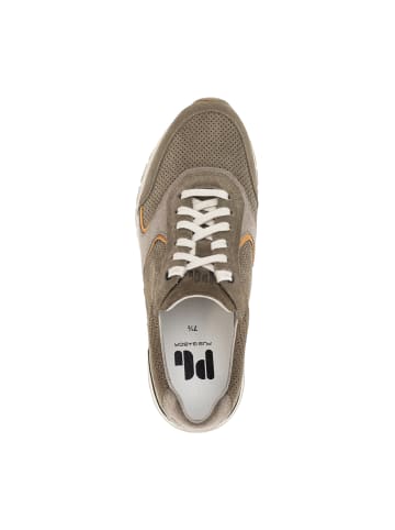 Pius Gabor Sportliche Schnürschuhe in Grün