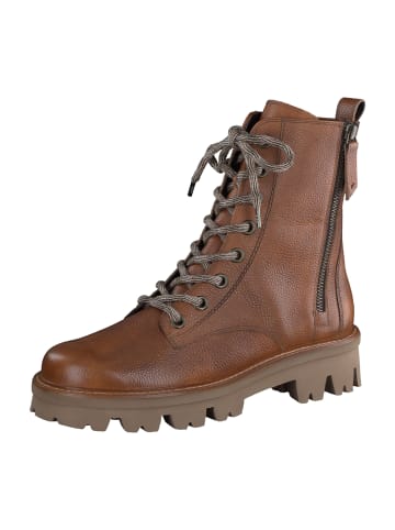 Paul Green Schnürboots in Braun