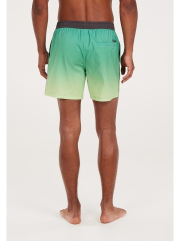 Protest " PRTERIN in Frosty Green